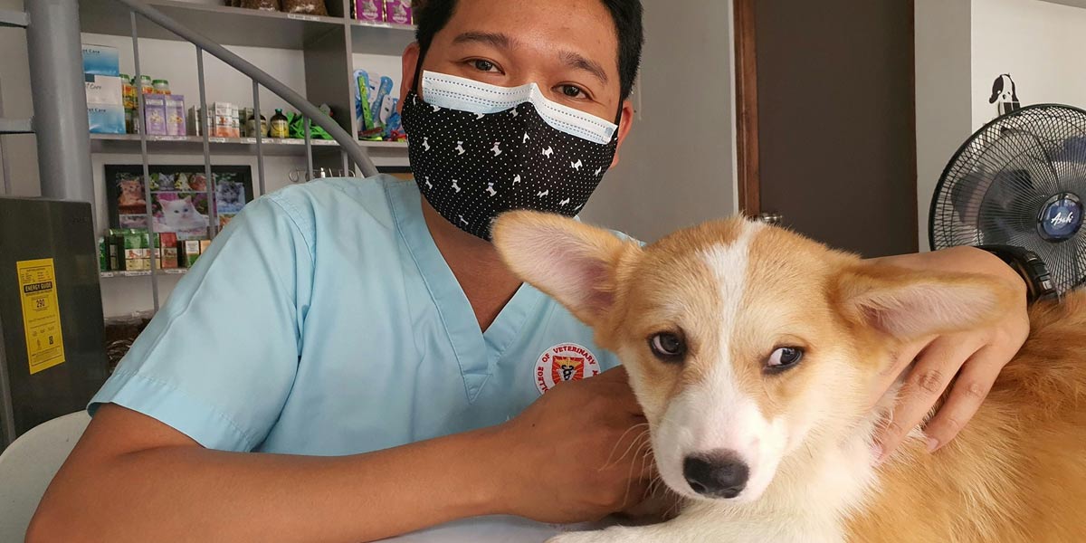 Veterinary clinics have become targets with cybersecurity incidents.