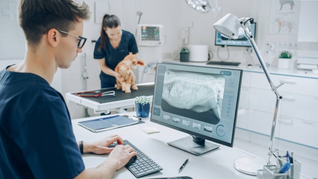Reliable veterinary clinic IT technology support has become important for modern veterinary practices.