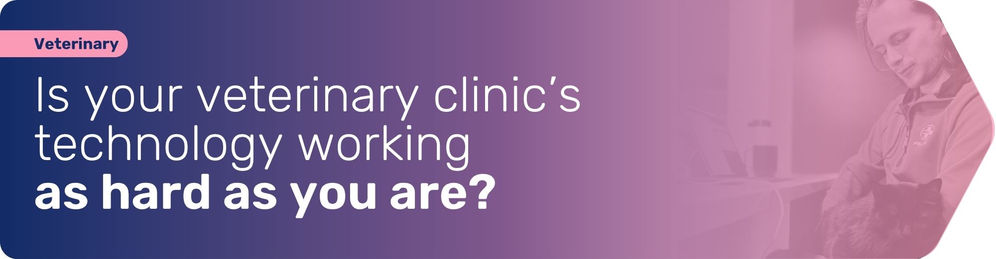 A guide to answer questions for your veterinary clinic and the importance for technology support.