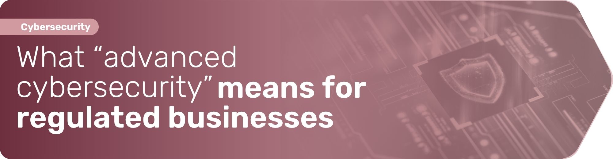 An advanced cybersecurity guide to regulate your business.